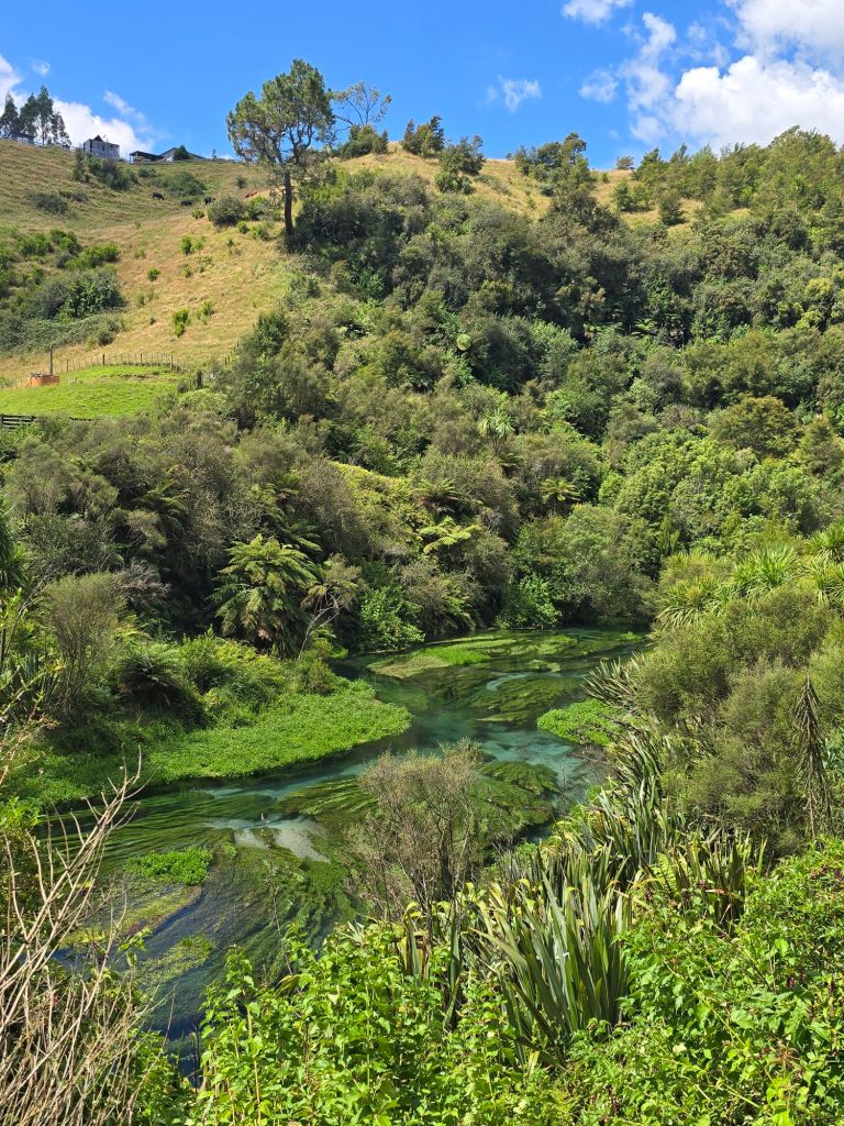 20260205_1500084979827173156969186